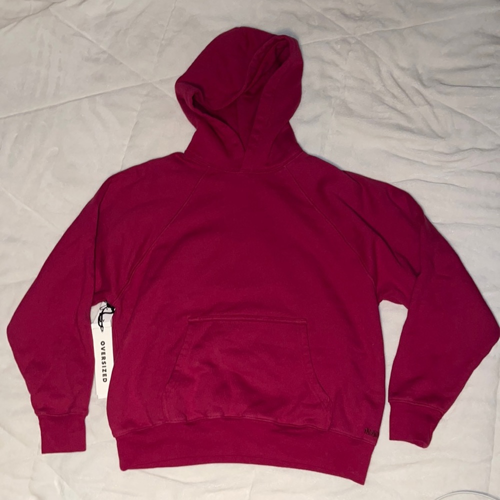 Aritzia TNA Cozy Mega Raglan Hoodie